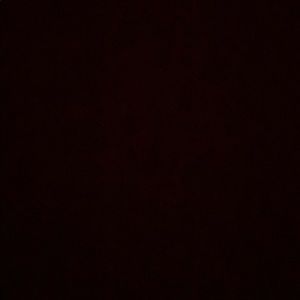 Meet your Posher, Nicolette